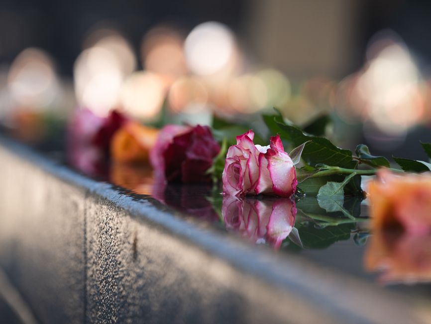 https://stratfordflowers.co.uk/blog/queen-elizabeth-olympic-park-stratford-floral-tributes/